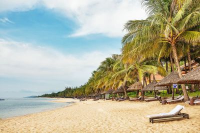 PHU QUOC - DIVE AND SEE CORAL 